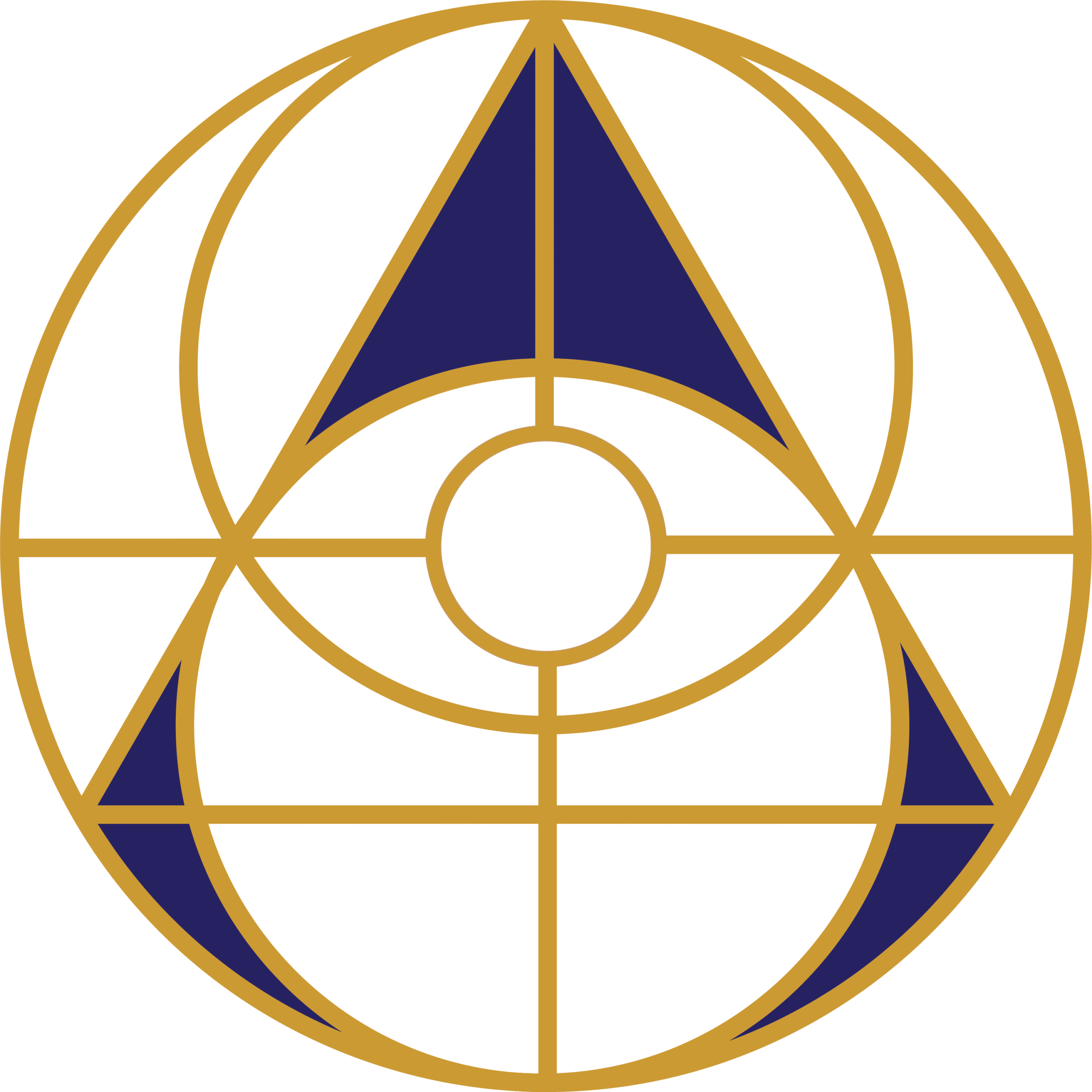 CITPh1 Badge CITPh1 Badge